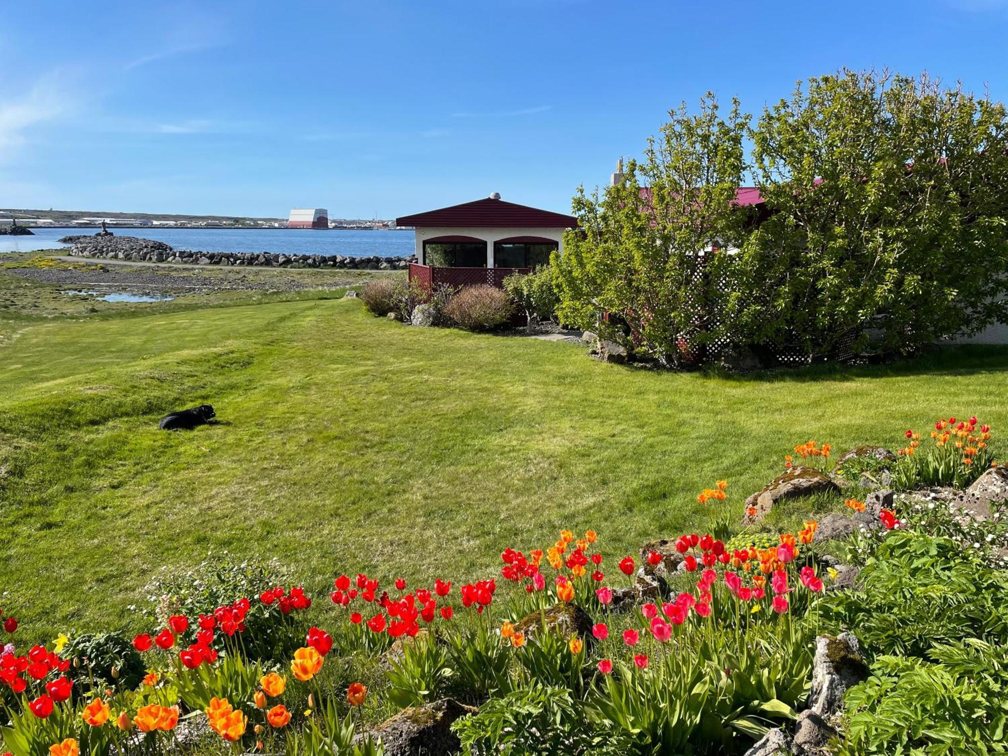 Alka - Cozy Room By The Sea With Private Hot Tub Njarthvik Exterior foto